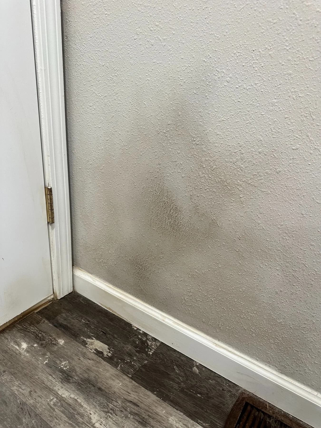 Wall spot clean-up before