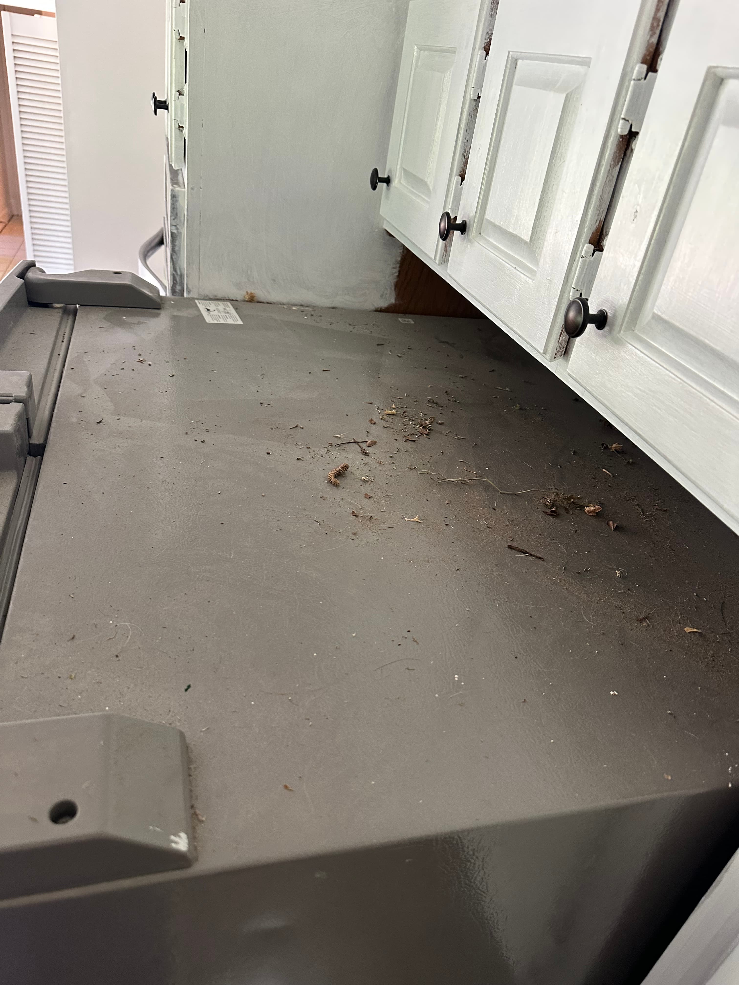 Top of fridge detail before